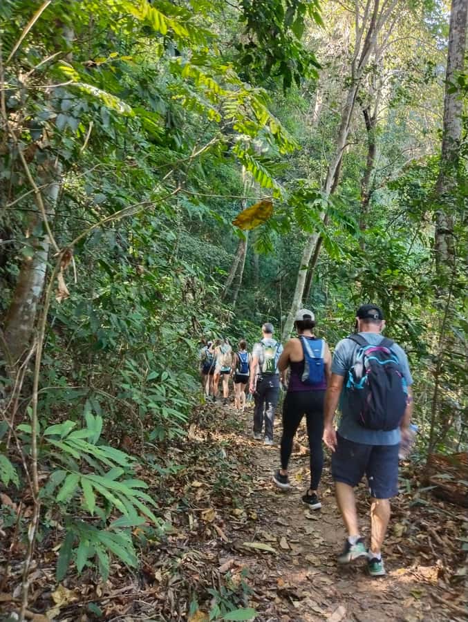 Chiangmai : Doi Pui Summit Hiking Experience - Starting quietly on the Mindfulness Trail