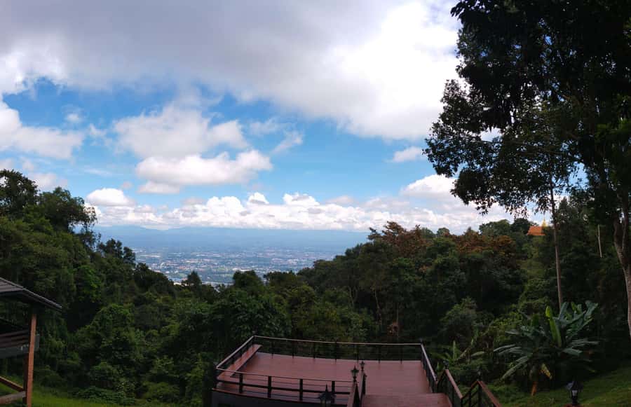 Chiangmai : Doi Pui Summit Hiking Experience - What the 13-kilometer route feels like