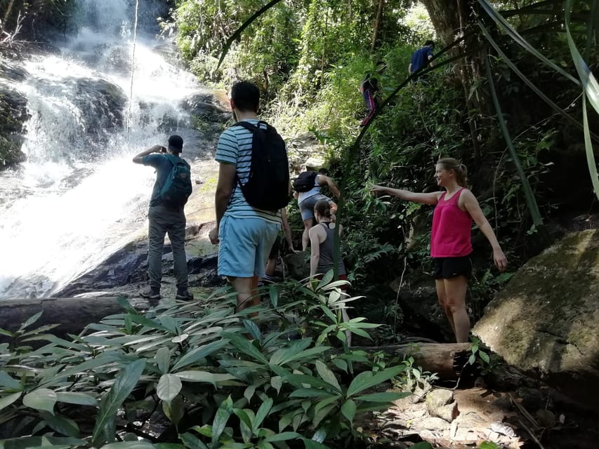 Chiangmai : Doi Pui Summit Hiking Experience - What is included for $70