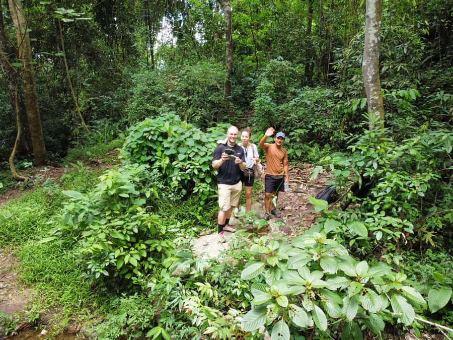 Chiangmai : Doi Pui Summit Hiking Experience - Who should book this Doi Pui hike