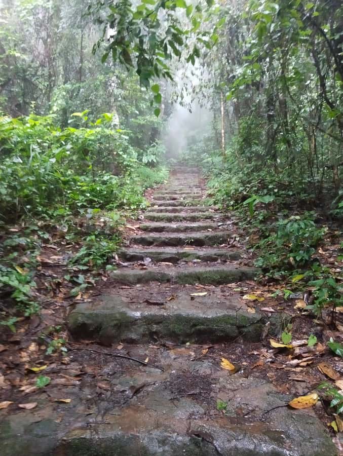 Chingmai Sunrise Hike & Cultural Traditions - A Hmong village, mountain coffee, and handicrafts