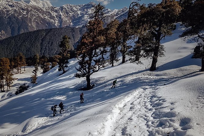 Chopta Trek - A four-day Himalayan sampler from Rishikesh