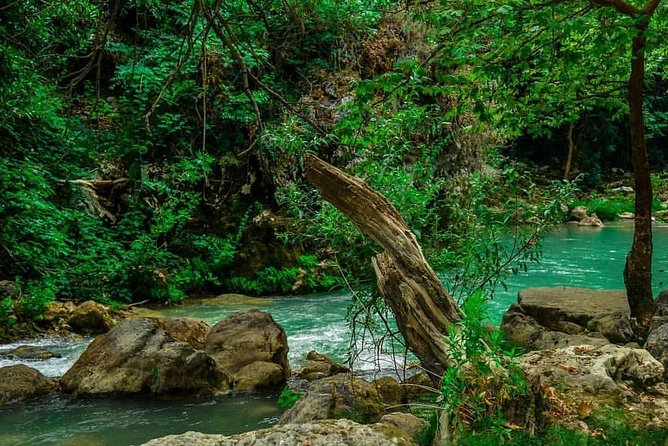 Chouwen Lake Hiking & Swimming - Food, service, and the human side of the day