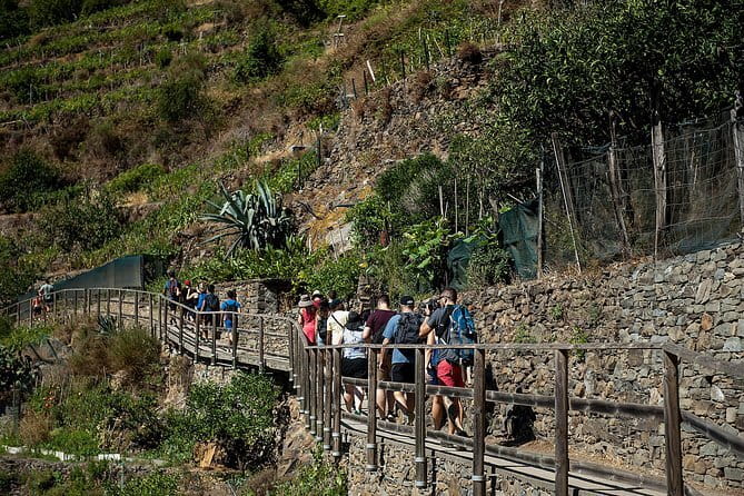 Cinque Terre Day Trip with Optional Hiking or Pisa - The hike to Corniglia is the day’s physical test