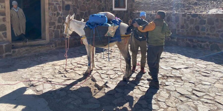 Climb Toubkal: 2-Day Atlas Trek with Local Berber Guide - What the $193 price really covers