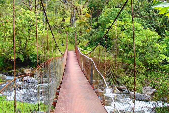 Cloud Forest Wildlife Hike 8:30am (Minimum of 2 people required ) - The 8:30am start and ride from Boquete