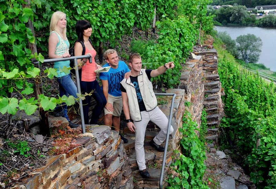 Cochem, Moselle: Wine experience hike with boat trip - Wine tasting before the platter