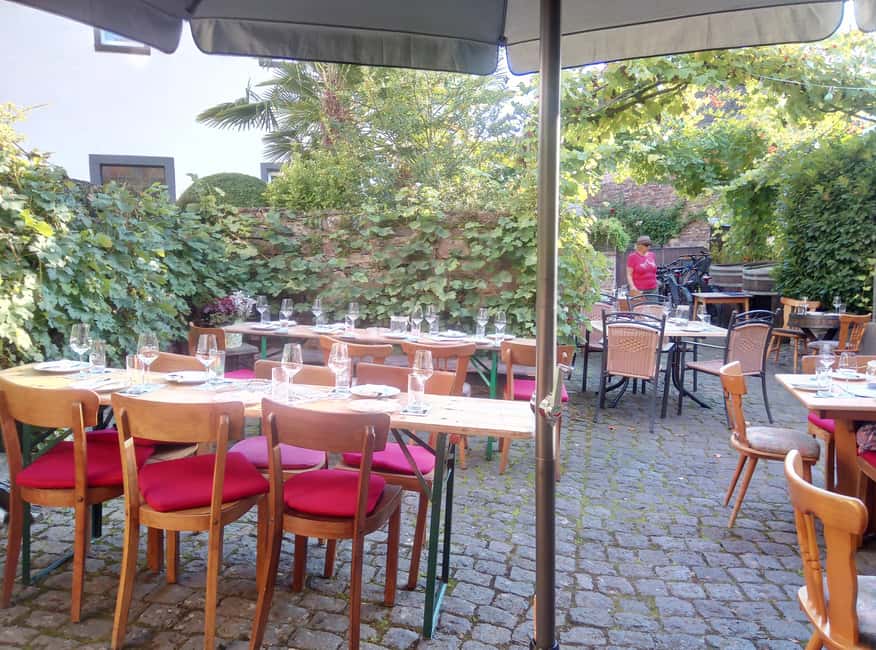Cochem, Moselle: Wine experience hike with boat trip - Who should book this experience?