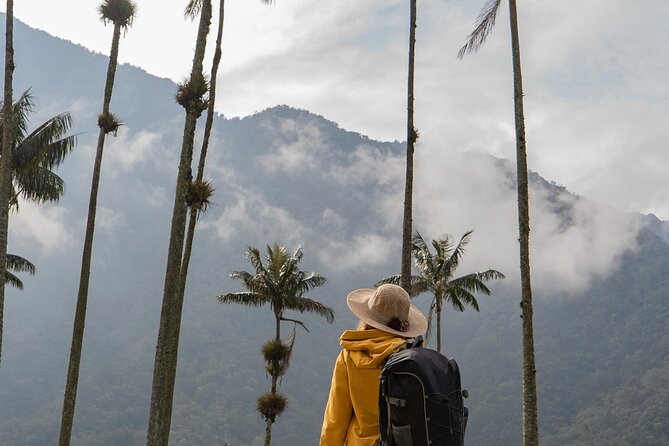 Cocora Valley and Salento Hike Tour - What the six-hour schedule really feels like