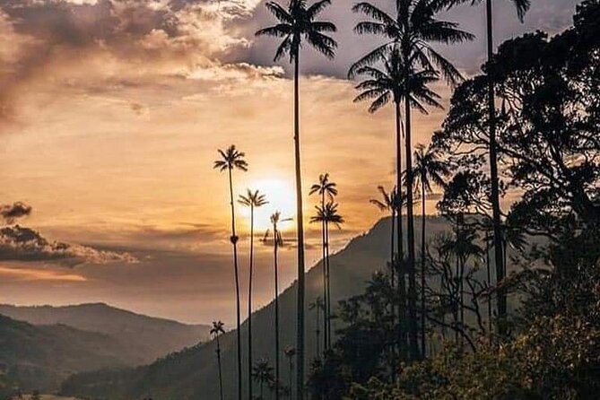 Cocora Valley and Salento Hike Tour - How much value do you get for $99?