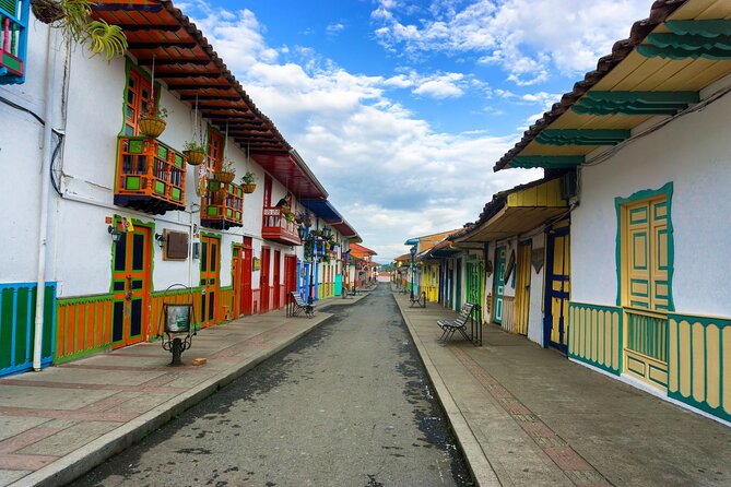 Cocora Valley and Salento Hike Tour - Walking beneath Colombia’s wax palms