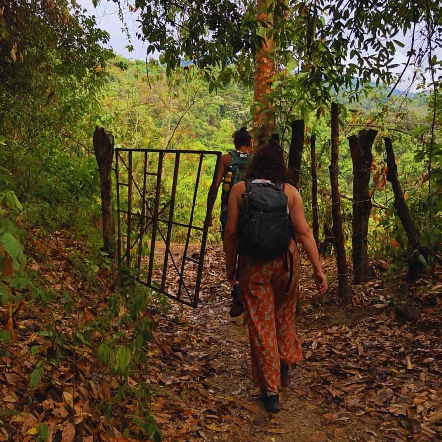 Coffee, Cocoa and Trekking Tour in Minca: Nature, Crops and Production - Key points to know before booking
