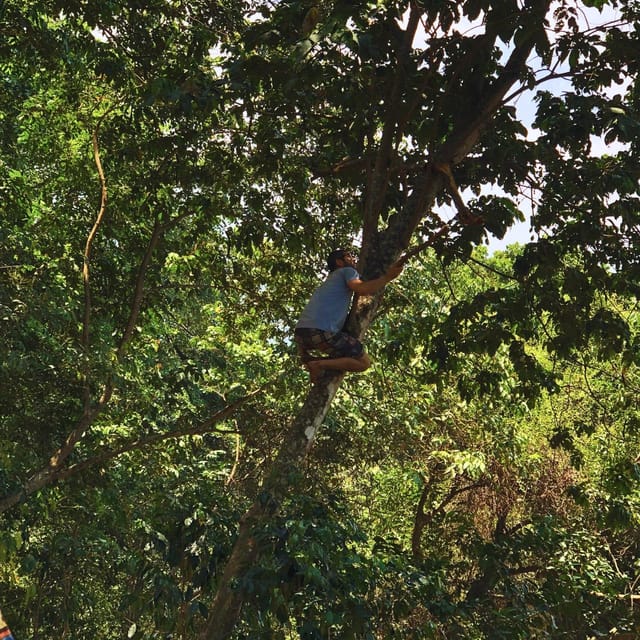 Coffee, Cocoa and Trekking Tour in Minca: Nature, Crops and Production - FAQ