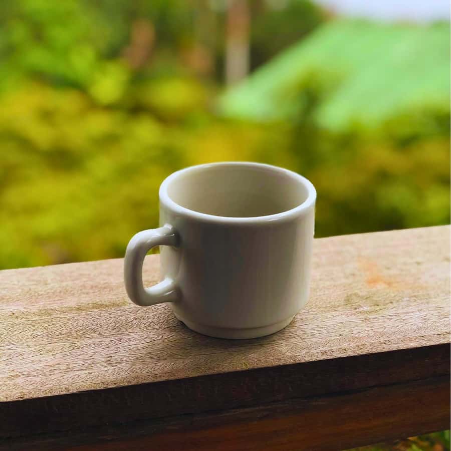 Coffee, Cocoa and Trekking Tour in Minca: Nature, Crops and Production - The coffee and cocoa farm at Finca San Rafael