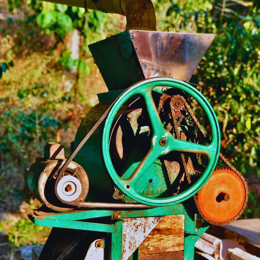 Coffee, Cocoa and Trekking Tour in Minca: Nature, Crops and Production - Who will enjoy this best