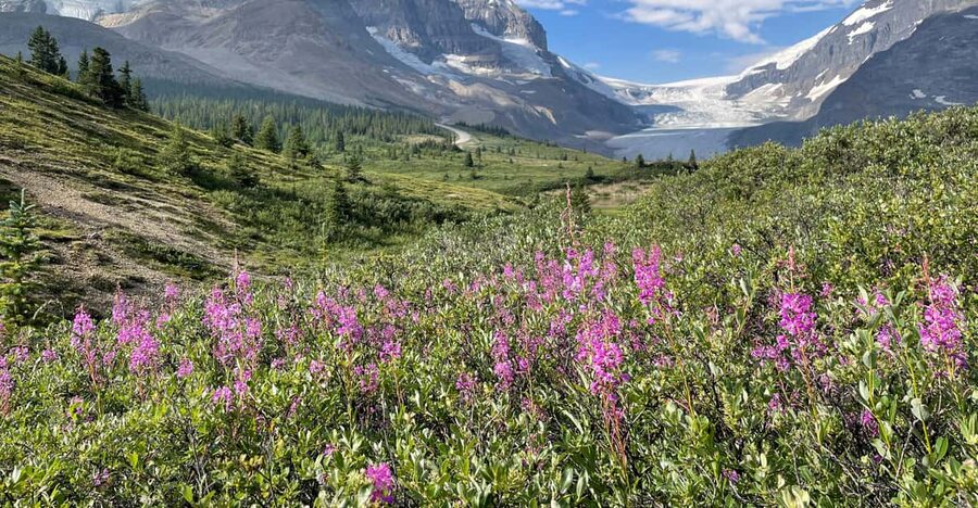 Columbia Icefield: Guided Glacier Hike - How cancellation and payment flexibility help
