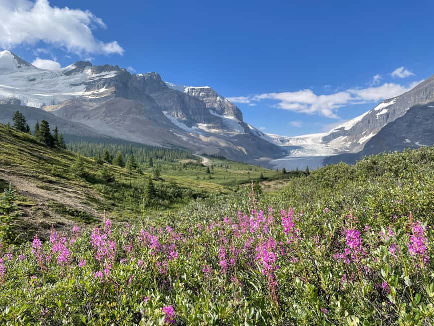Columbia Icefield: Guided Glacier Hike - The three-hour route, from parking lot to ice