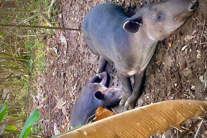 Corcovado National Park Hike - From Uvita - How to prepare for the wet landing