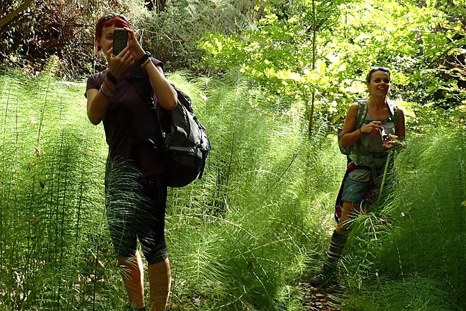 Corfu Countryside Hiking Tour - Key points to know before booking