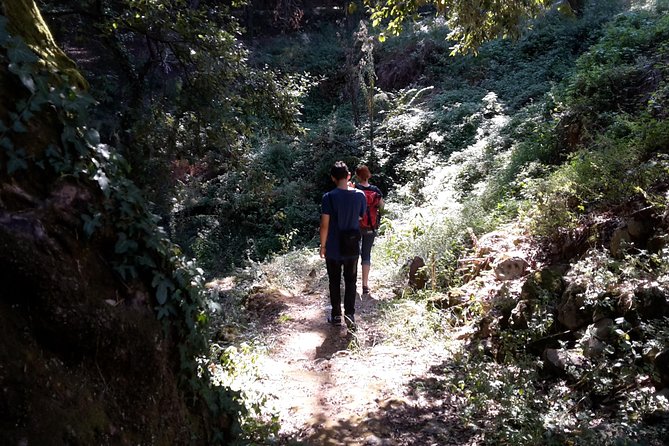 Corfu Countryside Hiking Tour - How much value do you get for $42.01?