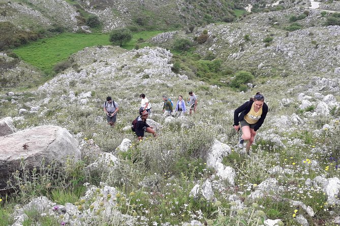 Corfu Countryside Hiking Tour - Forests, villages, and views from higher ground