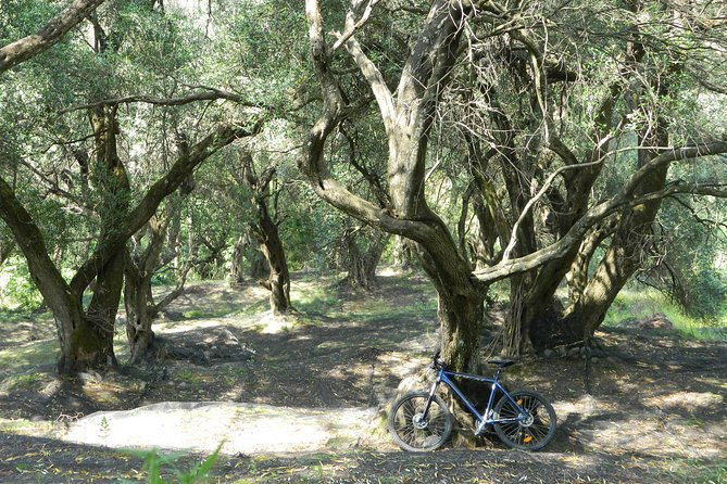 Corfu from Above: Hiking at the Highest Peak of Corfu - Is $54.19 a fair price?