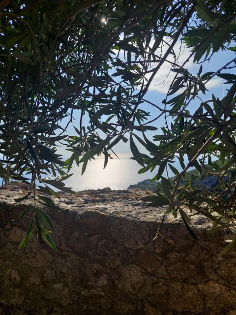 Corfu: Hiking in Olive Groves,Village,Sunset,with Swim Stop - Starting with pastry in Liapades