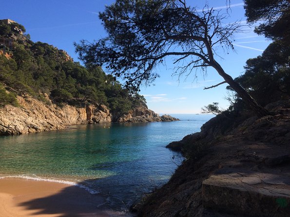 Costa Brava Scenic Hike & Tossa de Mar Small Group Tour - Setting out on the Camí de Ronda
