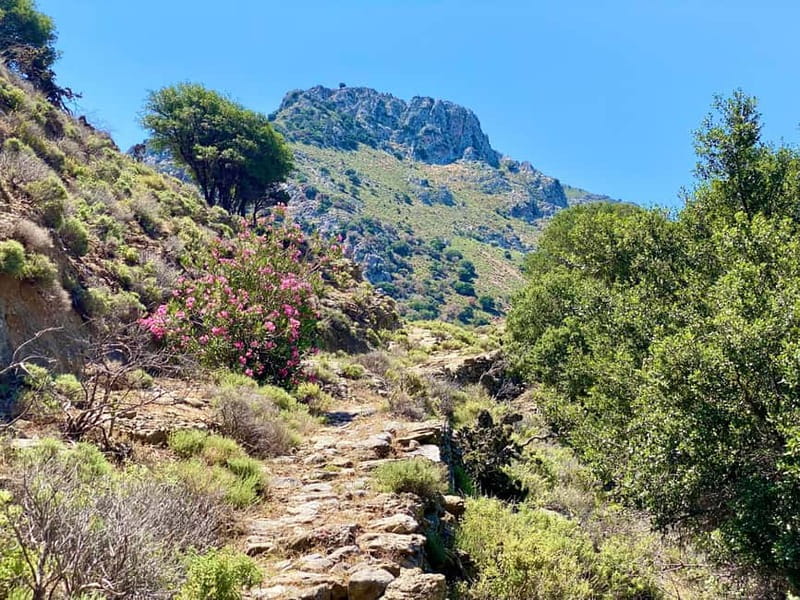Crete: Kavousi Canyon Guided Hike & Beach Swim - Azorias, Where the Mountain Holds Its History
