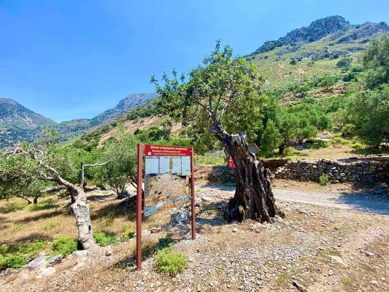 Crete: Kavousi Canyon Guided Hike & Beach Swim - Guide Giorgos Makes the Difference