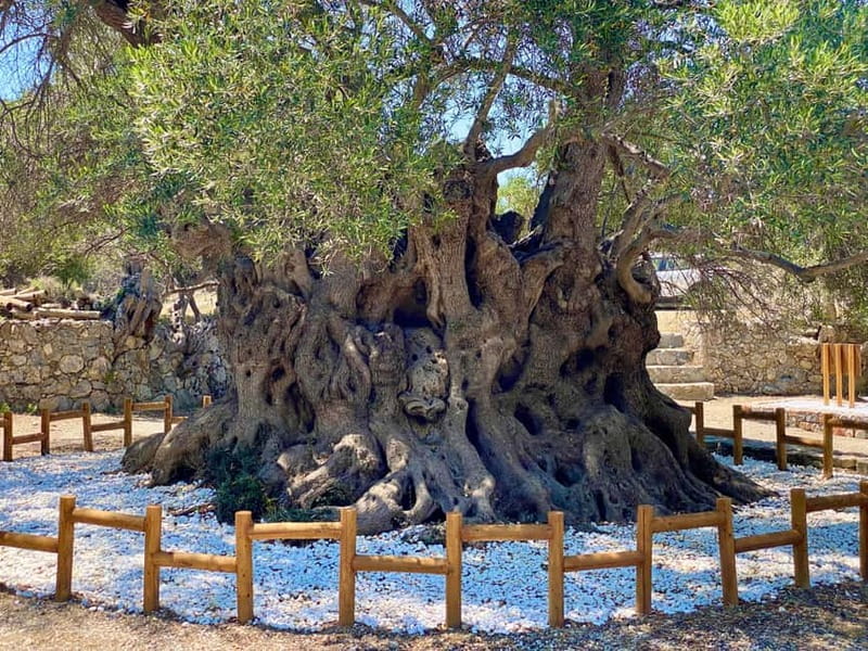 Crete: Kavousi Canyon Guided Hike & Beach Swim - Is $93 a Fair Price?