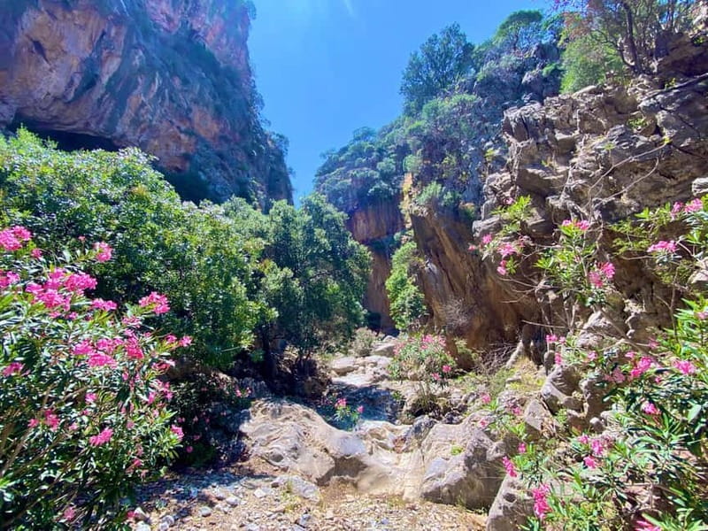 Crete: Kavousi Canyon Guided Hike & Beach Swim - Who Should Book This Hike?