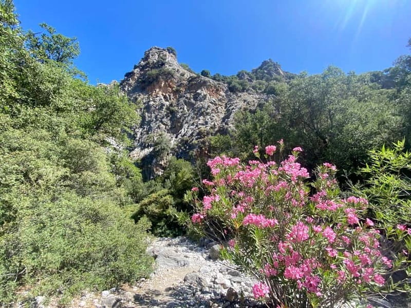 Crete: Kritsa Canyon Guided Hiking Tour - The drive from your hotel to the trail