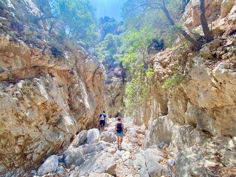 Crete: Kritsa Canyon Guided Hiking Tour - Who should book this hike?