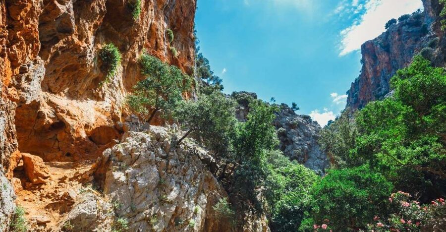 Crete: Kritsa Gorge Hike with Picnic & Swim Stop - The natural details are worth the effort
