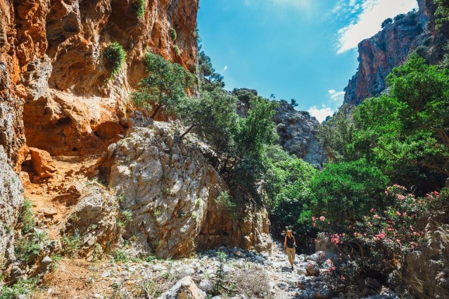 Crete: Kritsa Gorge Hike with Picnic & Swim Stop - What the guide adds to the canyon walk