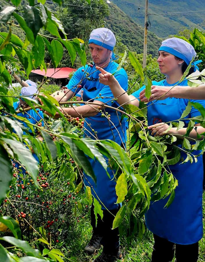 Cusco: 4-Day Salkantay Trek to Machu Picchu, Panoramic Train - Day 3: Pachamanca, coffee, and the road to Aguas Calientes