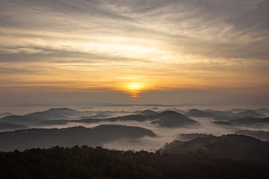 Da Lat: Chasing the Sunrise - A Mini Trek Adventure - The 20-minute walk through the pine forest
