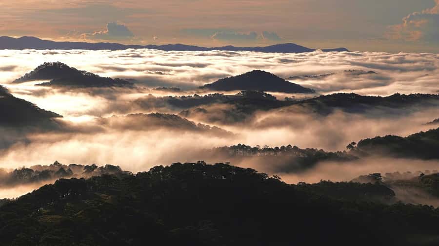Dalat: Sunrise Trekking and Cloud Hunting experience - Who should book this Dalat sunrise trek?