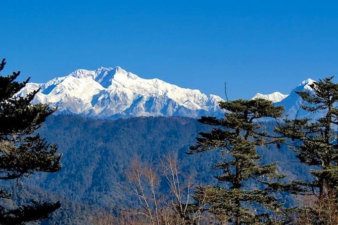 Darjeeling Tonglu Day Trek - Why Tonglu makes a strong one-day escape