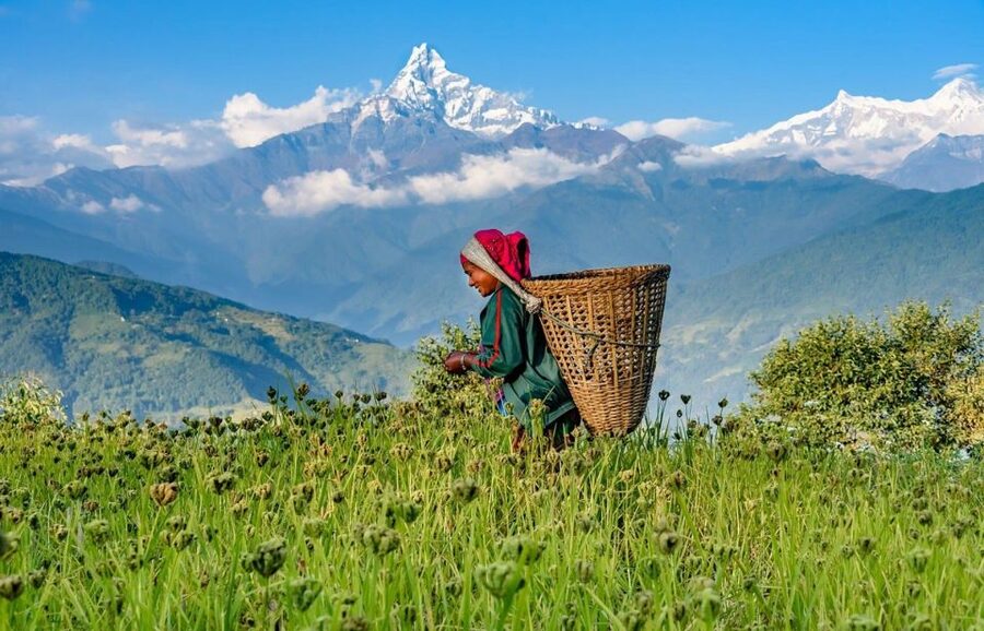 Day Hike at Annapurna Foothills - The Ridge Walk Toward Dhampus