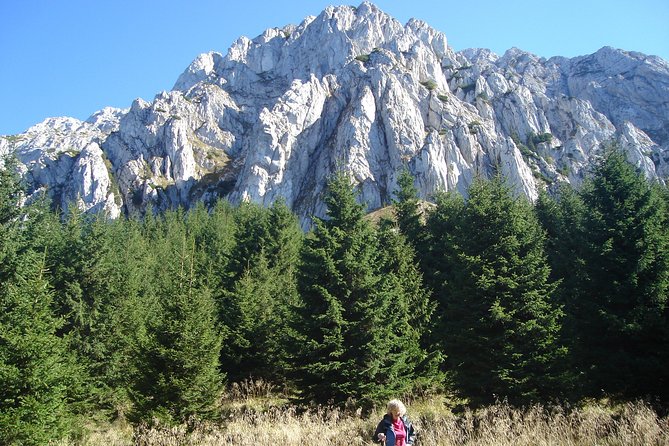 Day Hike in Carpathian Mountains for all levels in five areas - From pine forest to open mountain meadows