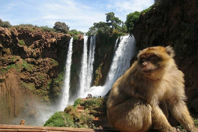 Day Trip To Ouzoud Waterfalls (Guide Hike & Boat are options) - Who should book this waterfall trip?