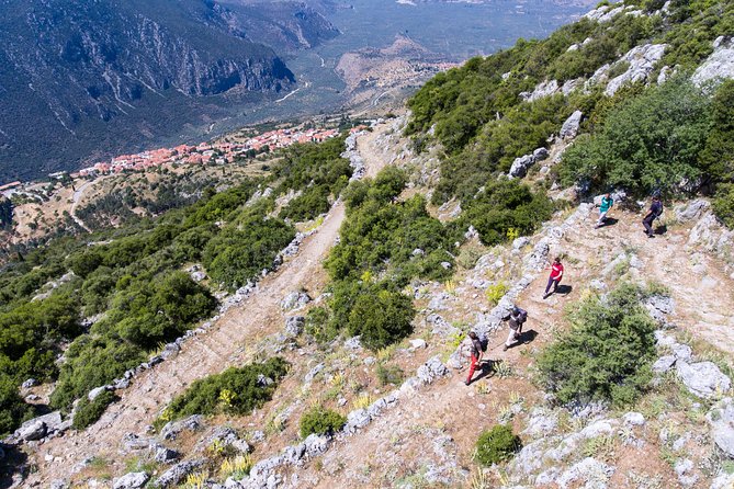 Delphi: Ancient Footpath Delphi Hiking - Key points to know before you book