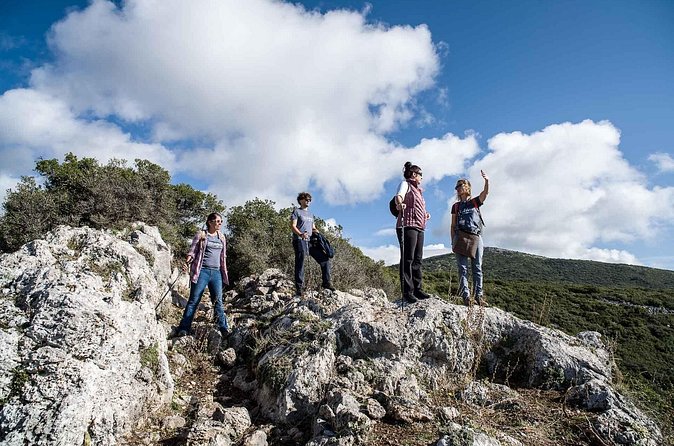 Delphi: Ancient Footpath Delphi Hiking - How the $96.12 price works for you