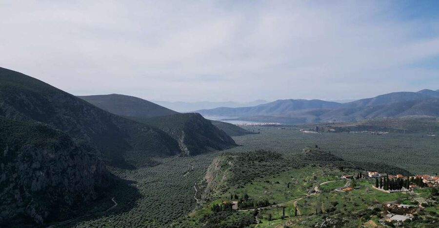 Delphi: Easy Hike on Ancient Path through the Olive Groves - From Delphi’s streets to an ancient countryside path