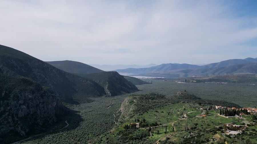 Delphi: Easy Hike on Ancient Path through the Olive Groves - Should you book the Delphi olive grove hike?