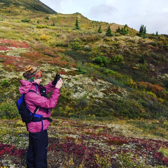 Denali: 5-Hour Guided Wilderness Hiking Tour - Key points to know before you book