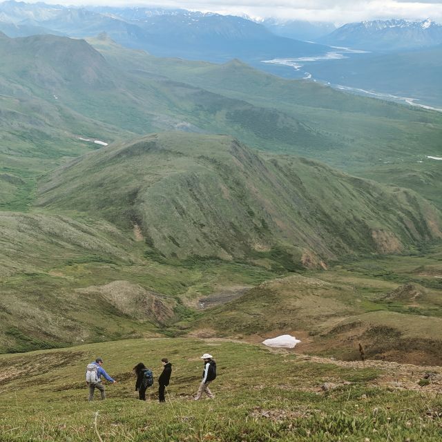 Denali: 5-Hour Guided Wilderness Hiking Tour - Ridge routes, lakes, and changing trail plans
