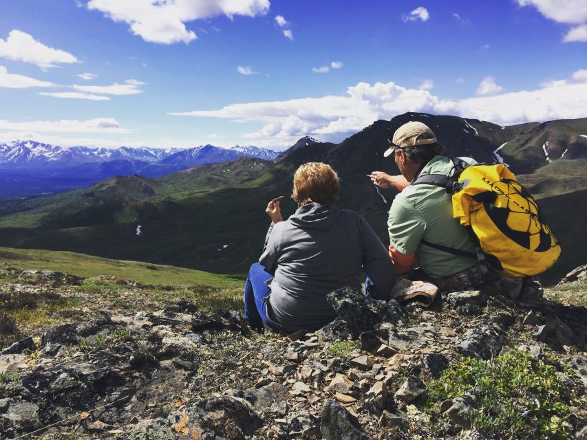 Denali: 5-Hour Guided Wilderness Hiking Tour - Wildlife is possible, but not promised